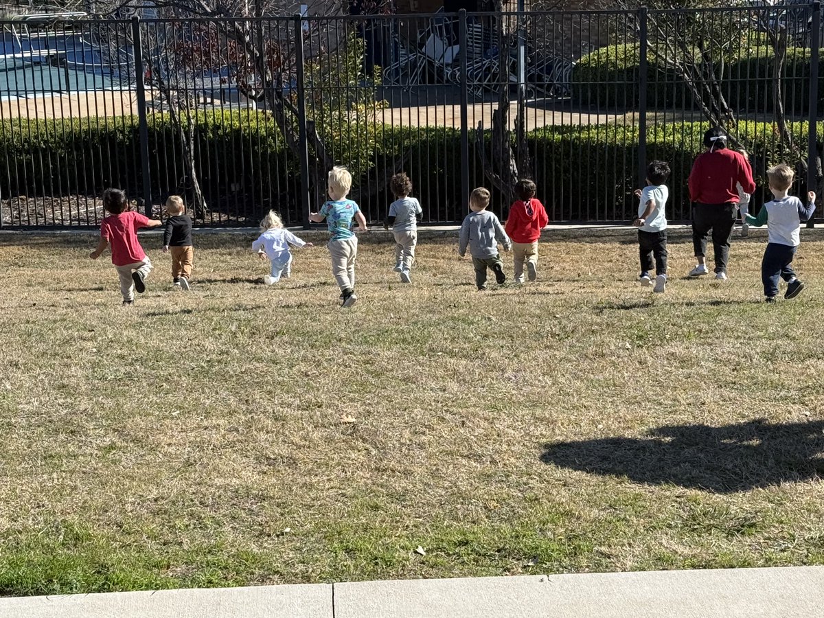 Stephanie Taylor tweet media