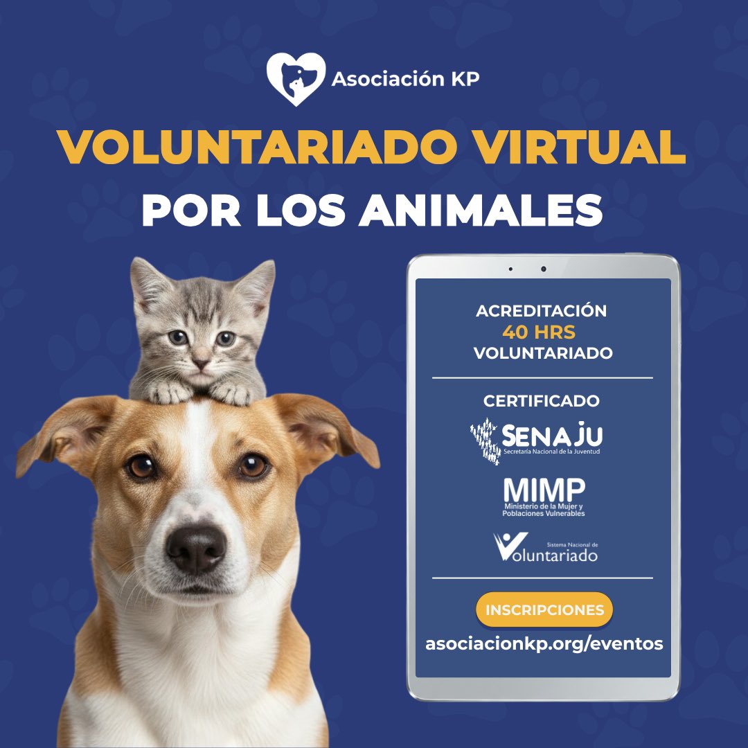 Ayuda a los animales desde donde estés 🐾

Sé parte de nuestro Voluntariado Virtual y contribuye activamente al bienestar de perritos y gatitos sin hogar 🐶🐱

👉🏽 Inscríbete aquí:
asociacionkp.org/evento/volunta…

📲 WhatsApp: 922217265