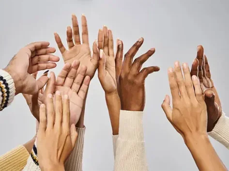 Centro Judiciário de Conciliação programa sete mutirões para este ano. O primeiro será em fevereiro.
tinyurl.com/y27ubnaf