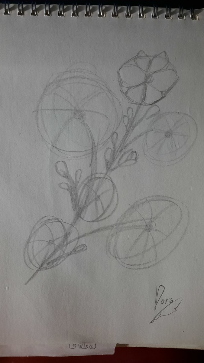 HiroD1581's tweet photo. Quick sketch for the next flower while I’m coloring the blue spider lily 
Just a small WIP, but I kinda like where this is going.

#WIP #quicksketch #flowersketch #languageofflowers #artistwip #traditionalart #sketchbook https://t.co/WHw1cCafE3