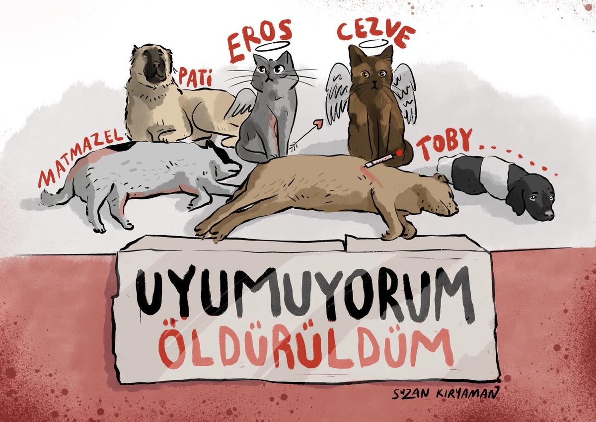 Uyumuyorum, ÖLDÜRÜLDÜM!

#KatliamaDurDe