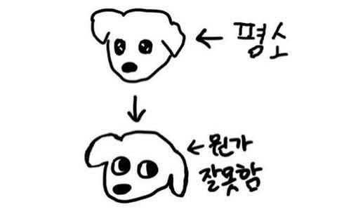 Call_Onda's tweet image. 존 이란 이름은 걍 그런데
조니♡는 너무 귀여움
김조니 이렇게 부르고 싶음
화나면 야김조니 됨
소프 한국어 몰라도 본능적으로 
왜...? 하고 눈치 봄