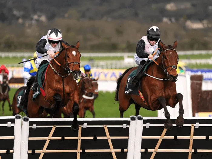 HawkWing2002's tweet image. Half-term report: Stayers' Hurdle

With Stayers’ Hurdle entries out yesterday had a look at the main players in a division that is dominated by owners JP McManus and Robcour.

attheraces.com/half-term-repo…

#Teahupoo #HonestyPolicy #ImposeToi #BobOlinger