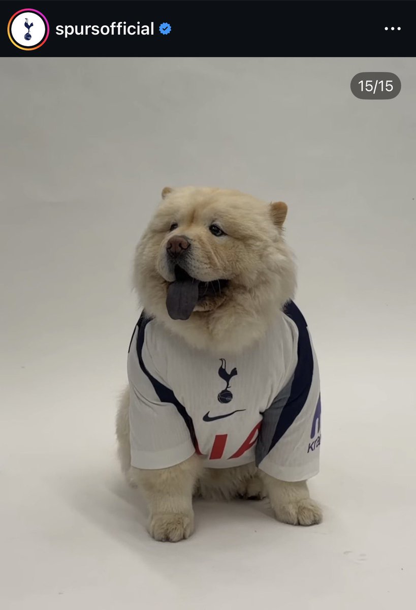 _adityasingh20's tweet image. Gallagher's signing is worth it for this alone! 🥹🤍🤍