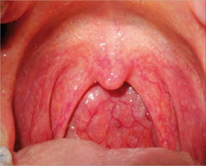 Crocodyle tweet media