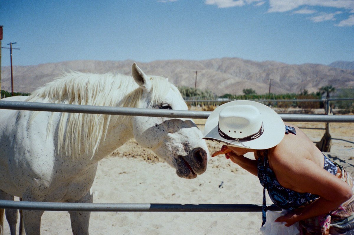 _sophielms's tweet photo. Horses and dog near Joshua Tree America https://t.co/yfg4mgTqKU