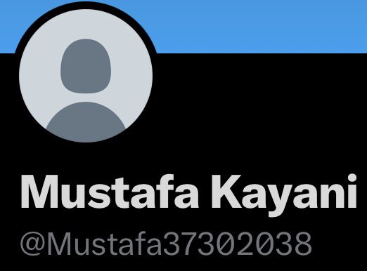 M. Yonan tweet media