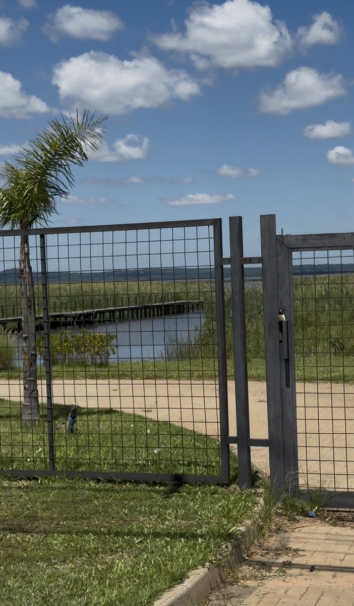 Rutina 3k de todas las mañanas. Este mes por Sanber, viendo de paso como intervienen sobre los humedales y privatizan el lago Ypacaraí. 🤦🏽‍♀️
