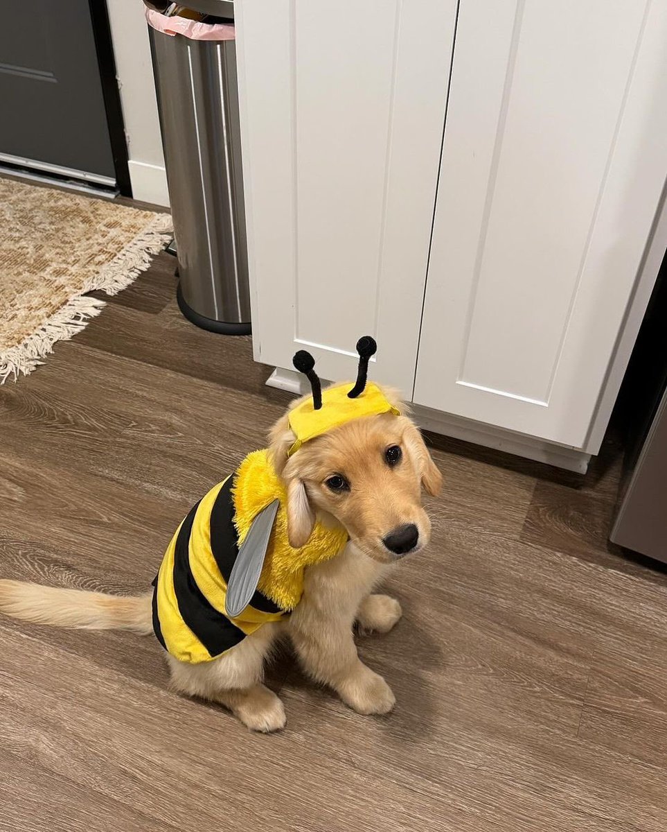 twaniimals's tweet image. 