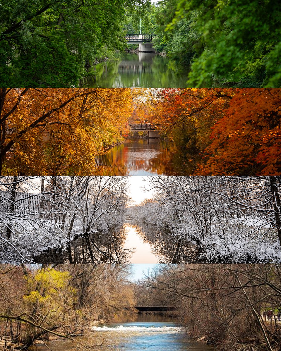 michiganstateu's tweet photo. On the banks of the Red Cedar 📍 https://t.co/JHJwQs9l2Z