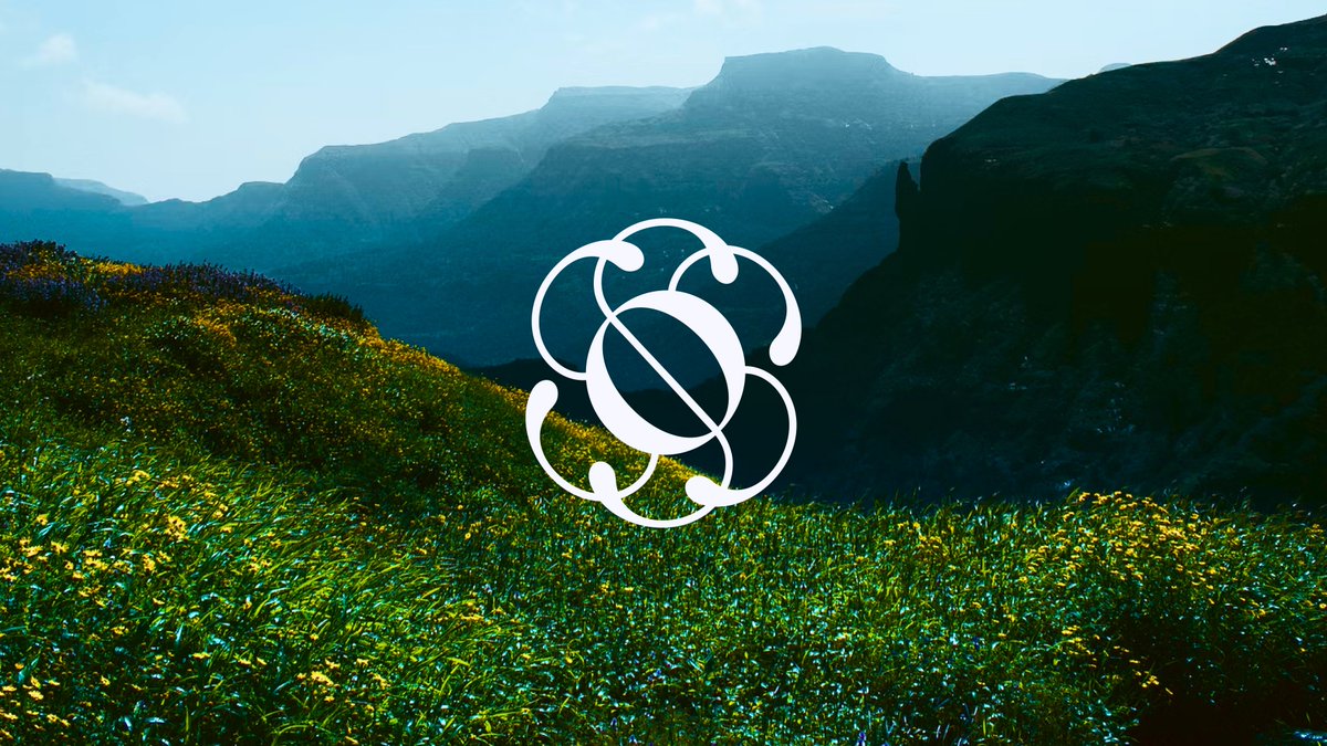 Jessica Strelioff tweet media