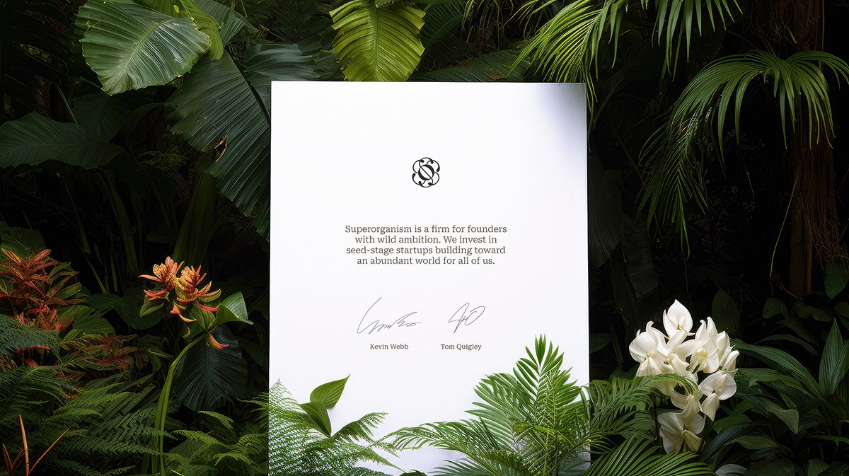 Jessica Strelioff tweet media