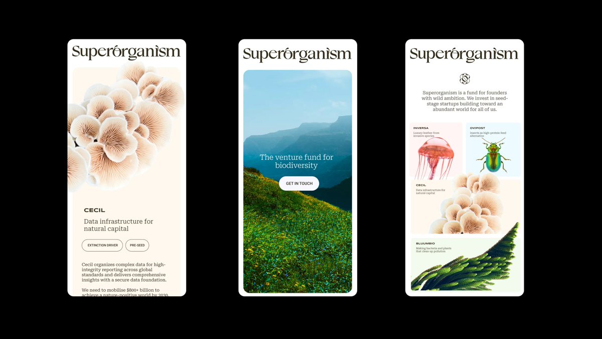 Jessica Strelioff tweet media