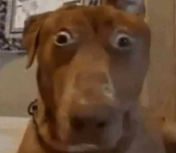 Quiero cambiar mi foto de perfil, cuál de estas creen que se vería mejor?