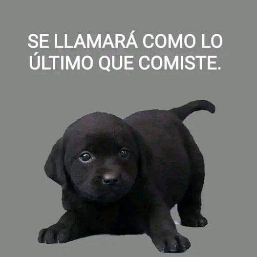 Vive con Propósito. tweet media