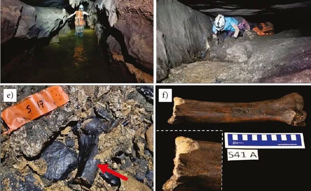 Antena San Luis tweet media