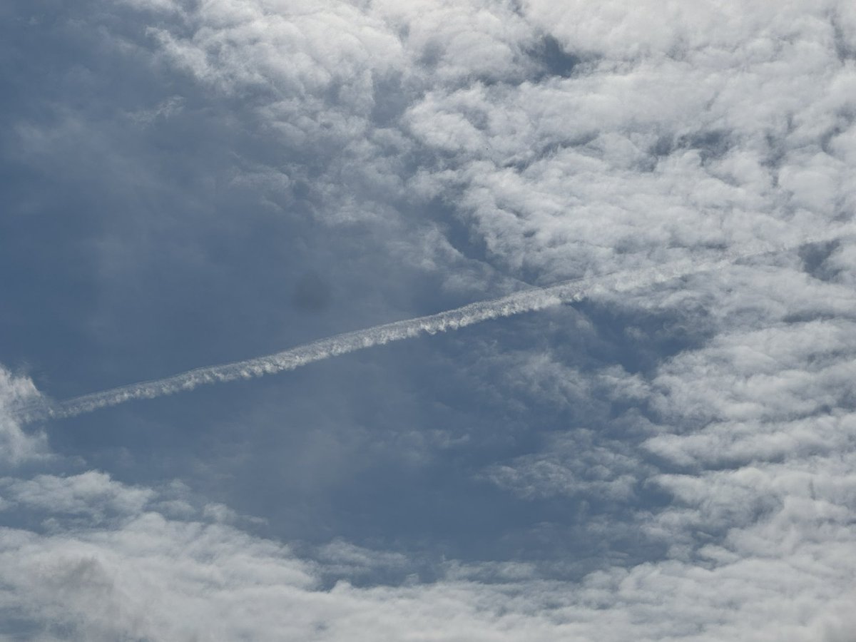 WHY ARE THEY STILL SPRAYING EVERY SINGLE DAY IN PALM BEACH FLORIDA?!! THIS IS FROM PALM BEACH GARDENS RIGHT NOW!! EVERY DAY THEY SPRAY?!!! 😡😡😡 <a href="/GovRonDeSantis/">Ron DeSantis</a> <a href="/realDonaldTrump/">Donald J. Trump</a> <a href="/elonmusk/">Elon Musk</a> <a href="/RobertKennedyJr/">Robert F. Kennedy Jr</a> <a href="/ChemtrailsLC/">Chemtrails Lowcountry</a> <a href="/catturd2/">Catturd ™</a>