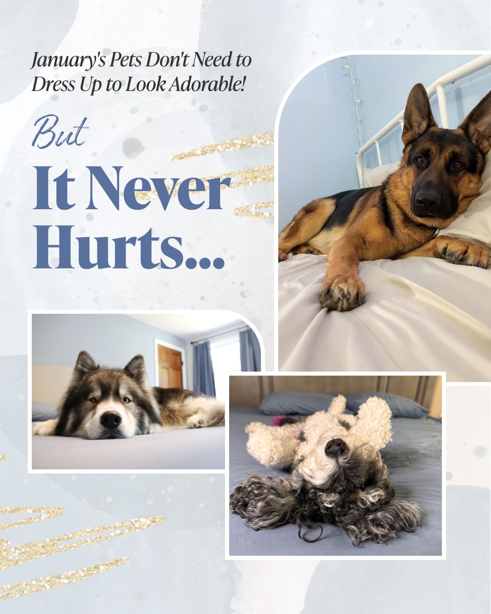 PeachSkinSheets tweet media