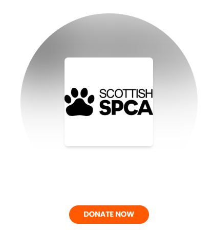 Save Myrient tweet media