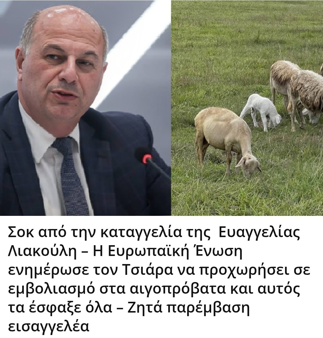 Karditsastakra's tweet image. Σοκ από την καταγγελία της  Ευαγγελίας Λιακούλη – Η Ευρωπαϊκή Ένωση ενημέρωσε τον Τσιάρα να προχωρήσει σε εμβολιασμό στα αιγοπρόβατα και αυτός τα έσφαξε όλα – Ζητά παρέμβαση εισαγγελέα