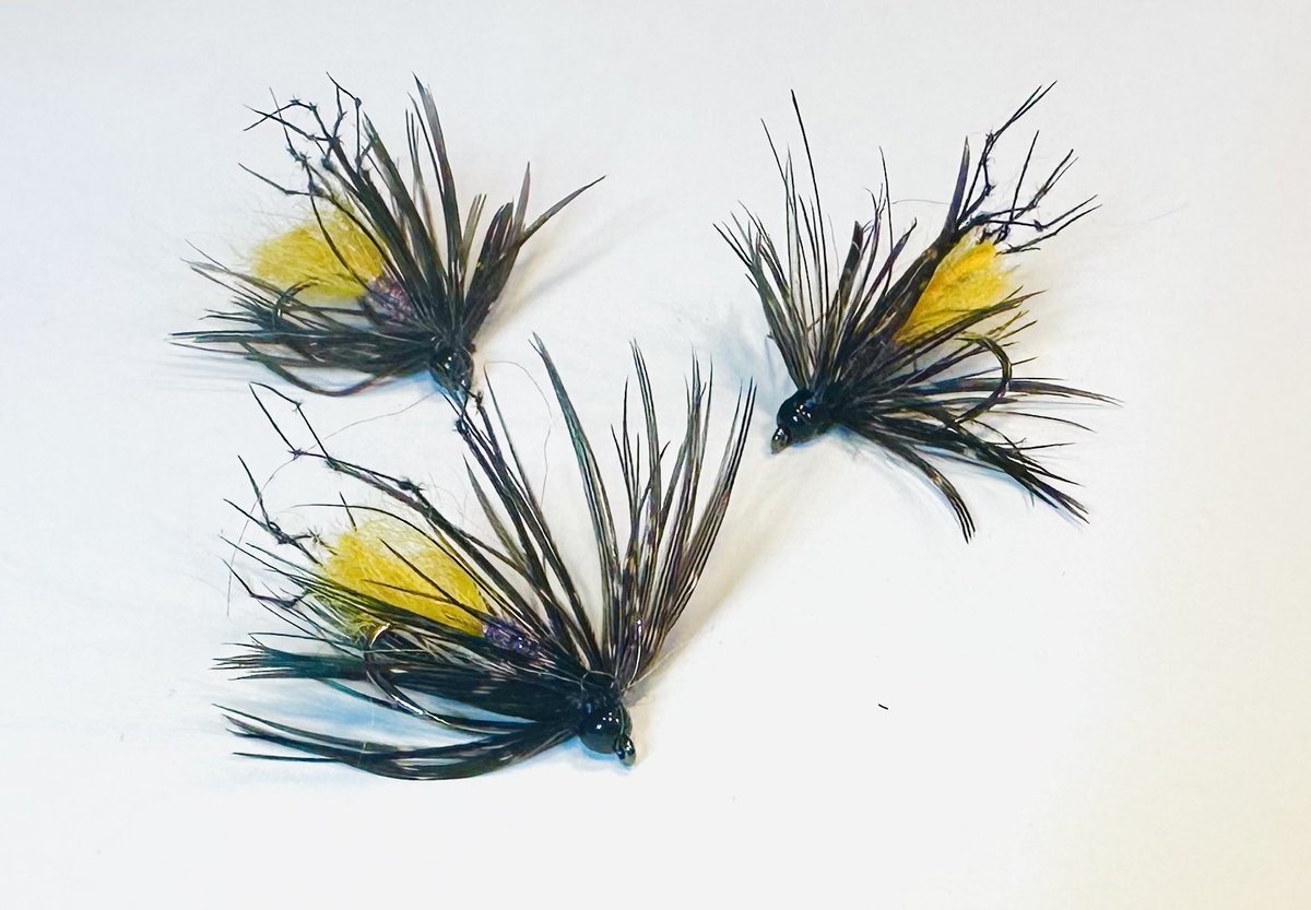 Jonathan James (JJ) tweet media