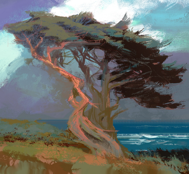 NathanFowkesArt's tweet image. Coastal cypress.