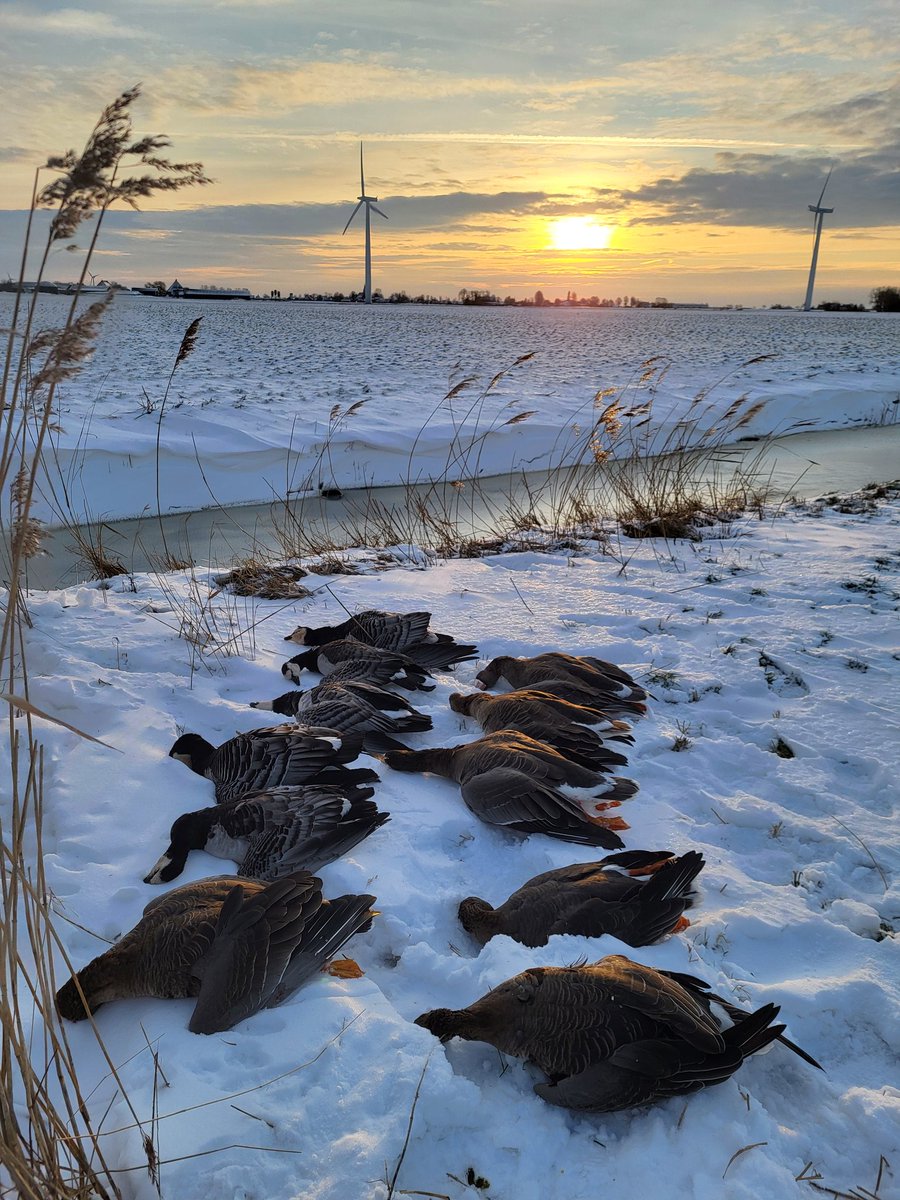 Wiebe talpallie 👨‍🚒🔥🚒 tweet media