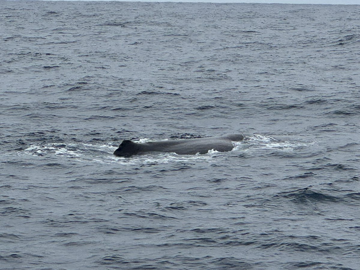 charles anyan Ⓜ️ tweet media