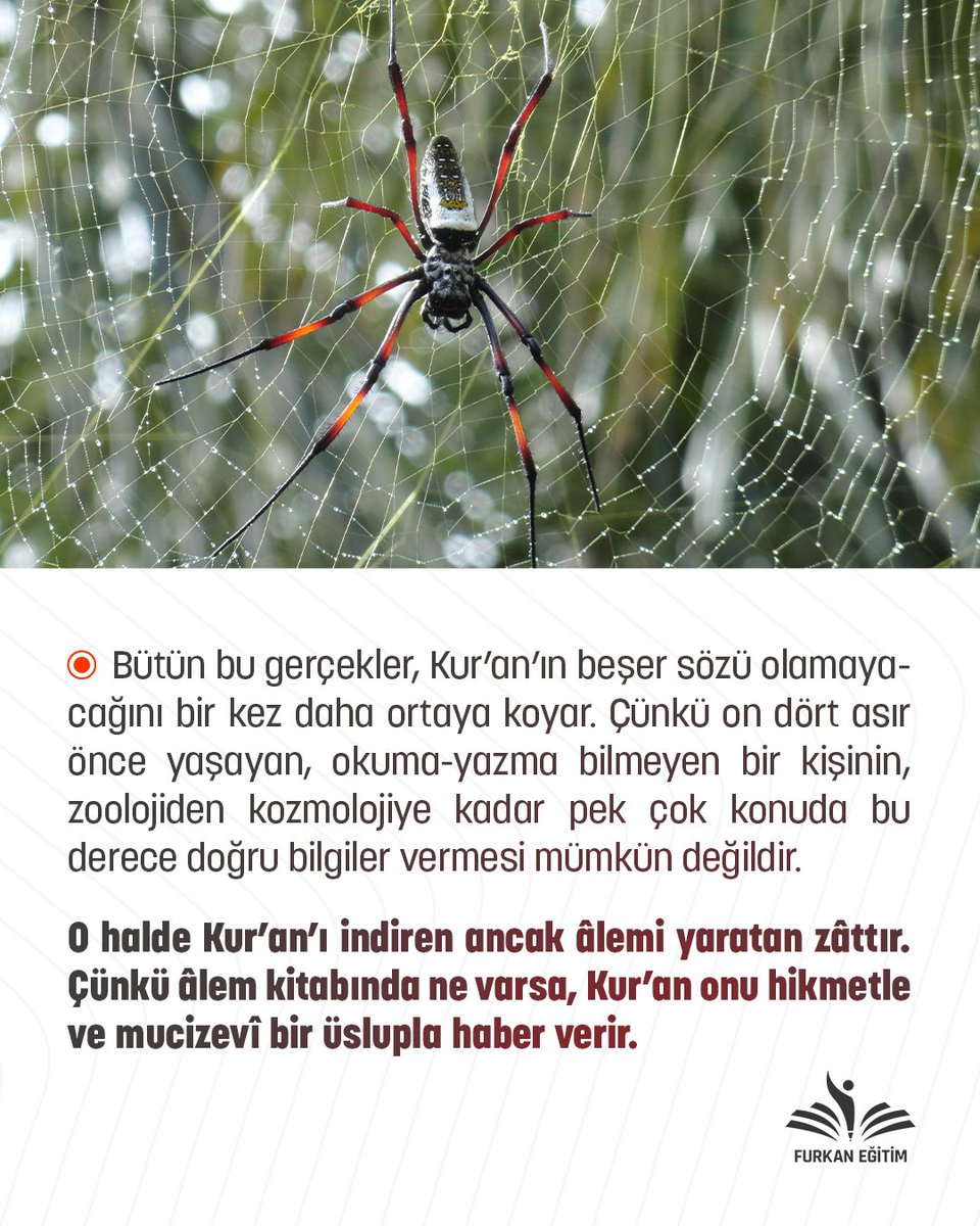 Furkan Eğitim (@furkan_akademi) on Twitter photo 