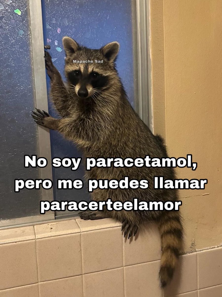 TuzitaMemeX (@tuzitaxtuitera) on Twitter photo 