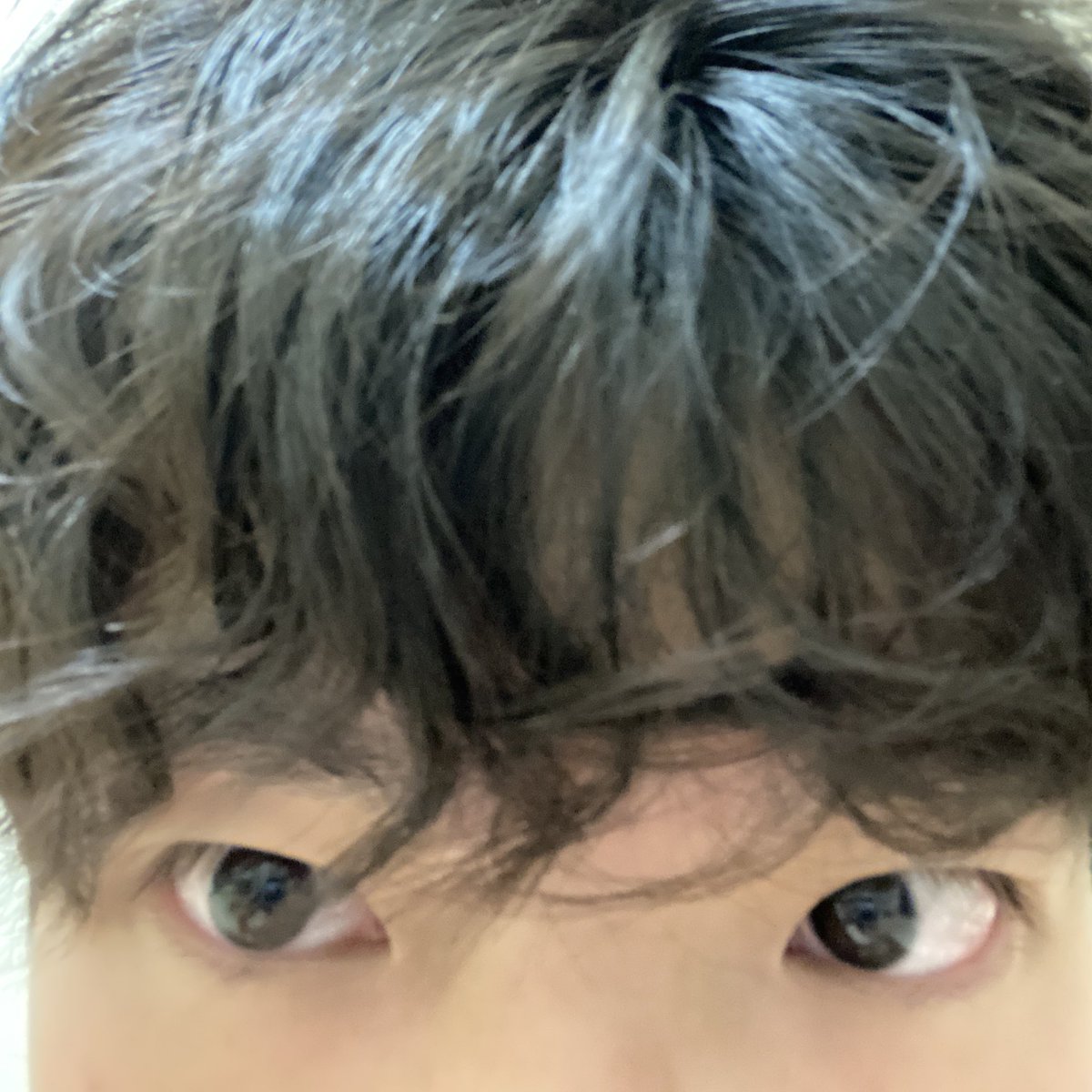 早餐貓 tweet media