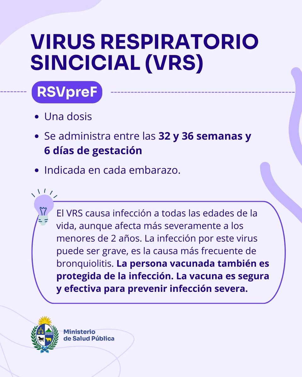 Durante el embarazo, vacunarte es una forma concreta de cuidarte y cuidar. 

Las vacunas recomendadas ayudan a prevenir enfermedades que pueden generar complicaciones para la embarazada y el bebé.

👉Seguí el hilo e informate sobre las vacunas indicadas en esta etapa 👇