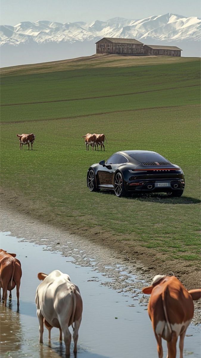 Only future Porsche owners should heart this post.