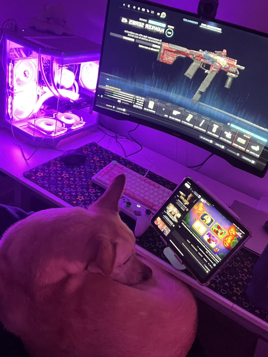 ziyangel's tweet photo. Winter mood 𐔌՞ ܸ.ˬ.ܸ՞𐦯
#cod #girlgamer #twitch https://t.co/0gCMWUQTUx