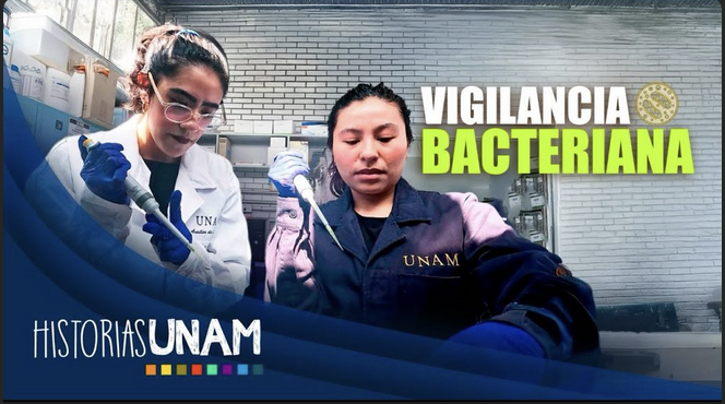 🦠🔬 La UNAM desarrolla un sistema pionero de vigilancia genética para identificar bacterias resistentes a antibióticos en tiempo real, anticipar brotes y mejorar tratamientos frente a uno de los mayores retos de salud del siglo XXI. 

▶️ youtu.be/E1VhMxr6Ib0 

#SomosFacMed