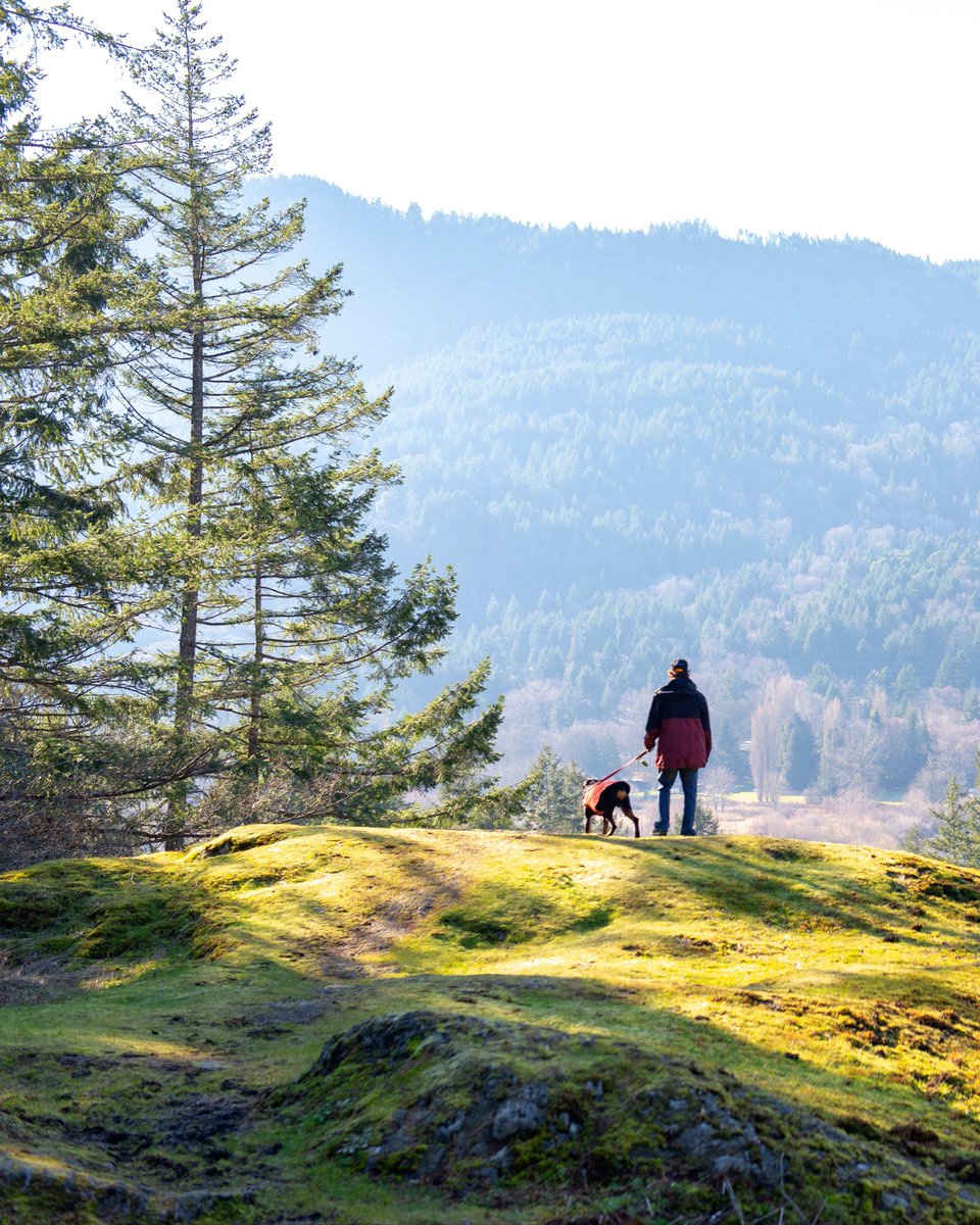 Life moves a little differently here. 

 #BC #MapleBay #VestaProperties #RealEstate
