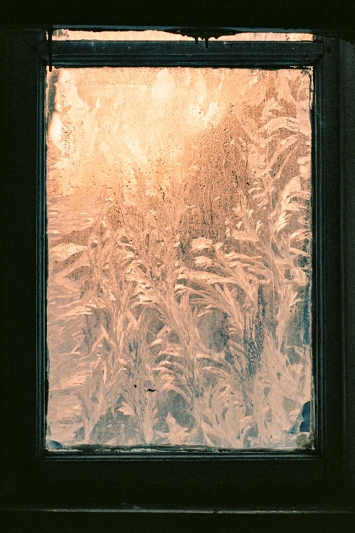 CWC_Company's tweet photo. Today is "World Logic Day," a holiday more fitting to Star Trek's planet Vulcan than our own. But let's pause to appreciate the cool, mathmatically derived beauty of these frosted window panes as Spock himself might; and so calmed, better face the emotional turmult on Earth. https://t.co/opcEw4LBgX