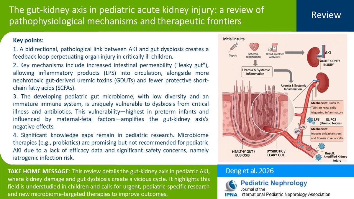 Ped_Neph's tweet image. AKI is a frequent &amp;amp; severe condition in hospitalized children, leading to significant morbidity, mortality, &amp;amp; long-term risk of CKD. Read this Review of the gut–kidney axis in pediatric AKI: pathophysiological mechanisms &amp;amp; therapeutic frontiers.
link.springer.com/article/10.100…
