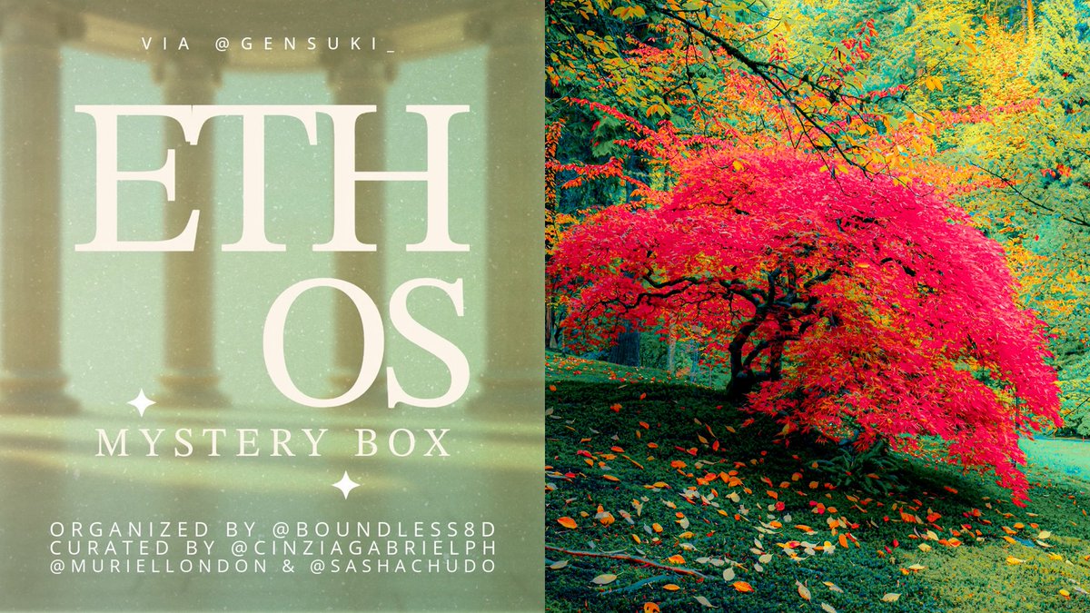 Rachel Suzanne Tien Wood tweet media