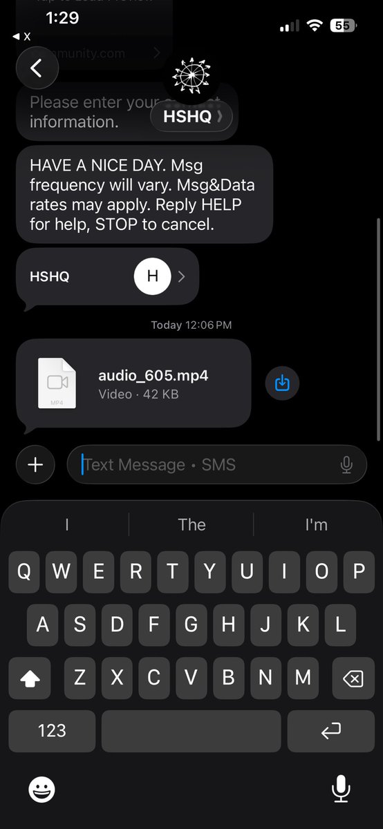 harry styles just texted my wife a voice memo chat am I cooked?