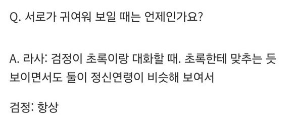 우니 tweet media