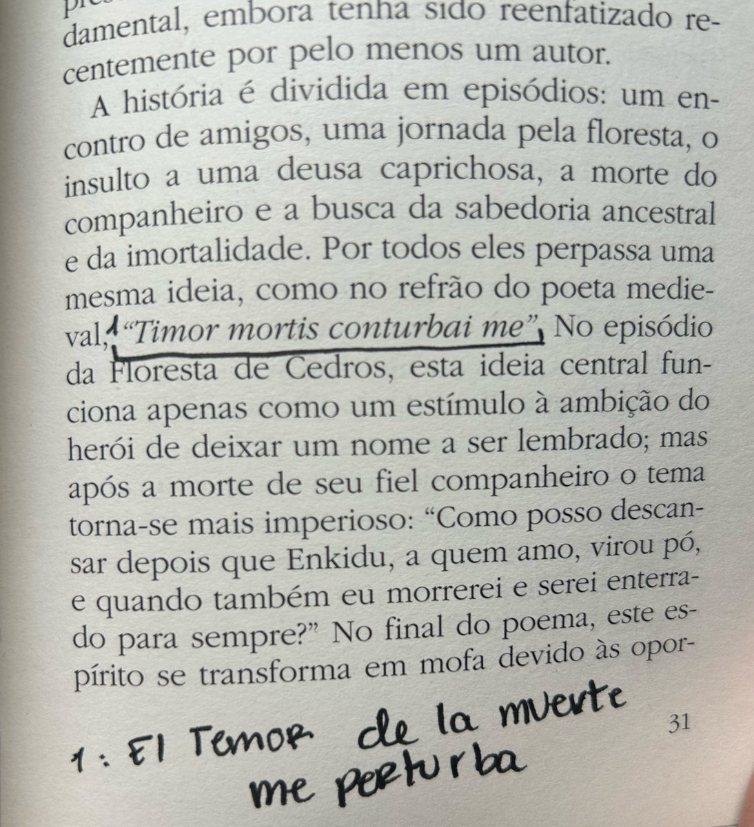 theboneca's tweet image. 