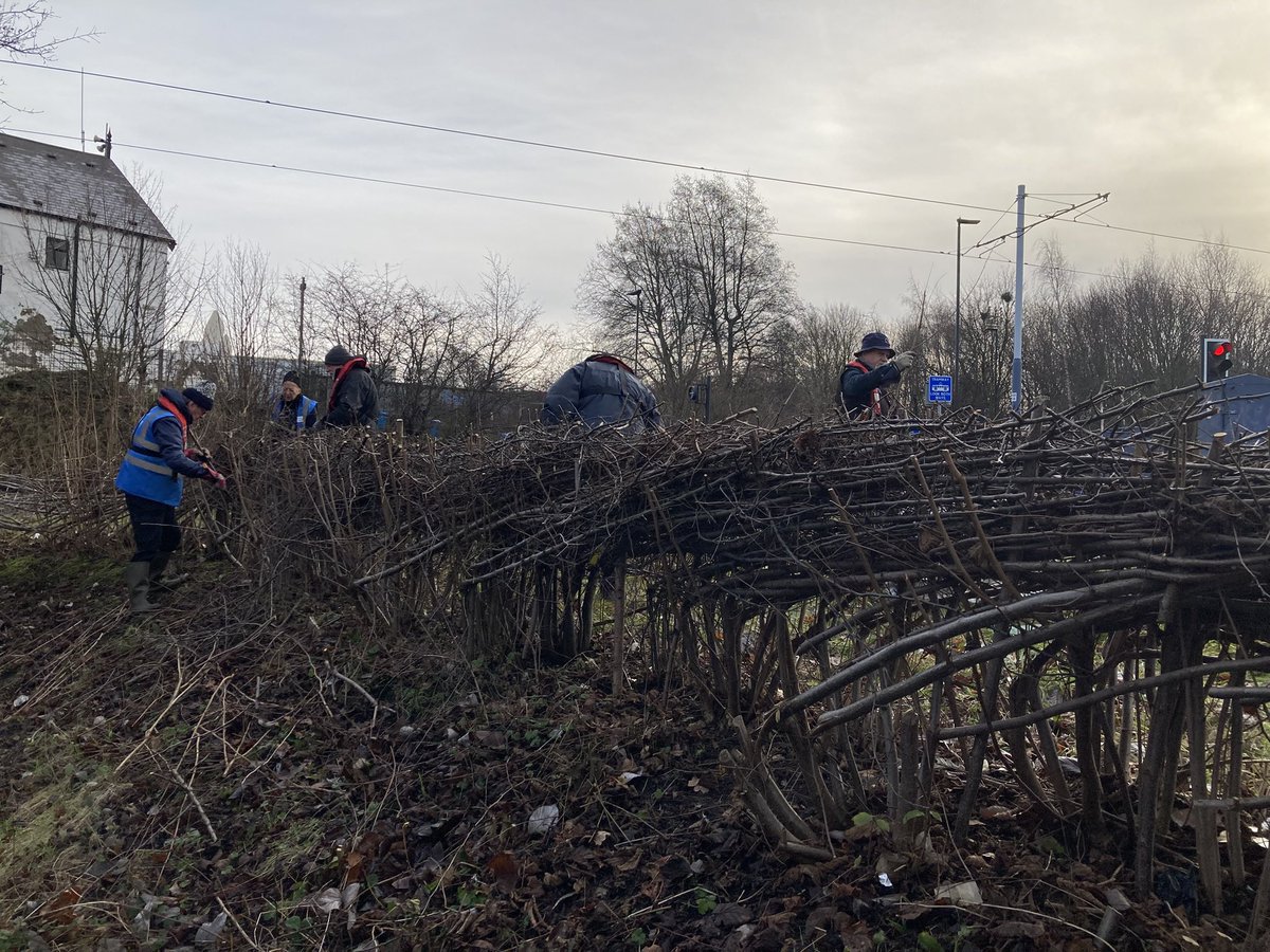 Blue loop tweet media