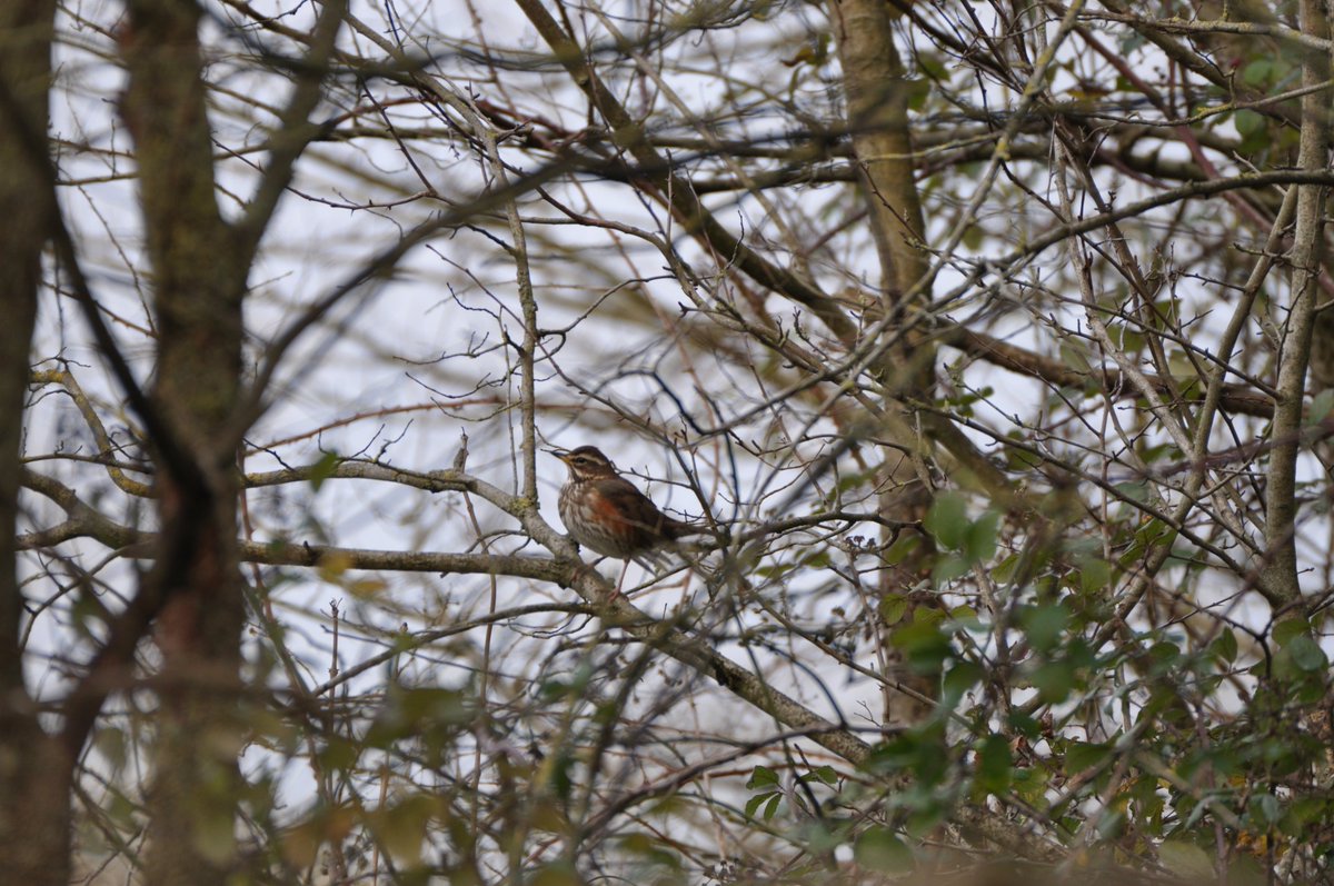 StuartBurt8's tweet image. 