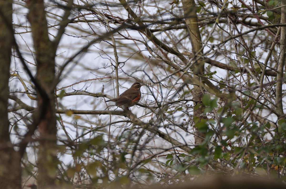 StuartBurt8's tweet image. 