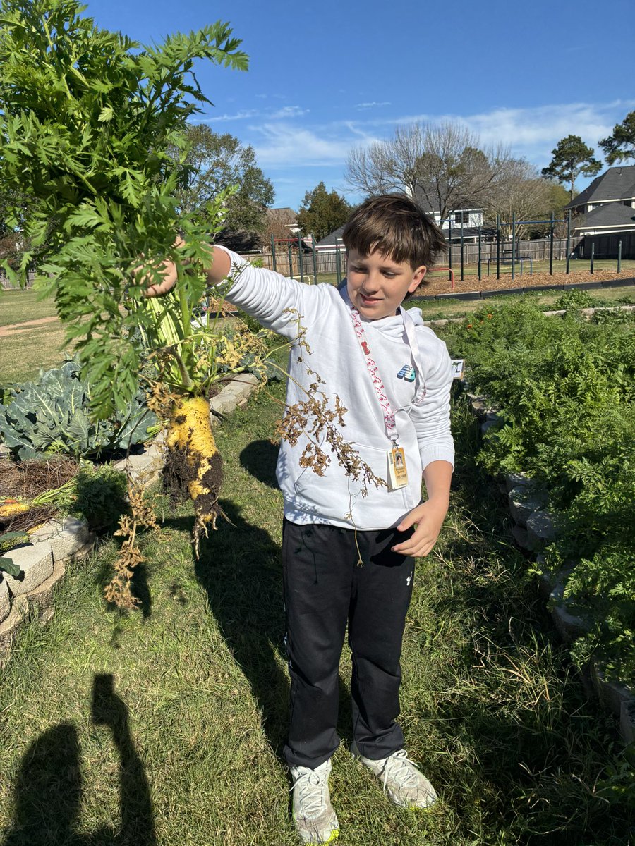 Celise Hamann tweet media