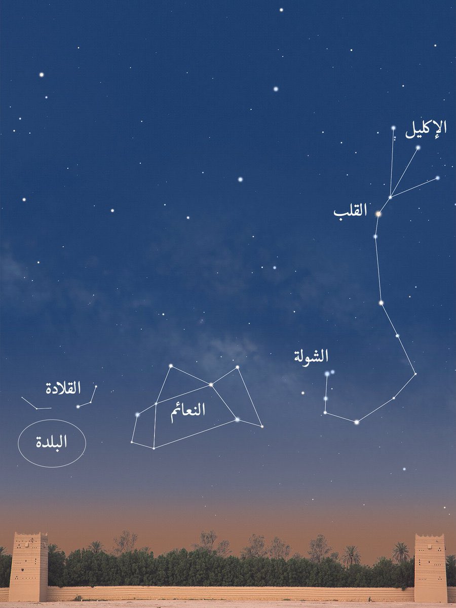 د. إبراهيم المقحم Ibrahim Almughim tweet media