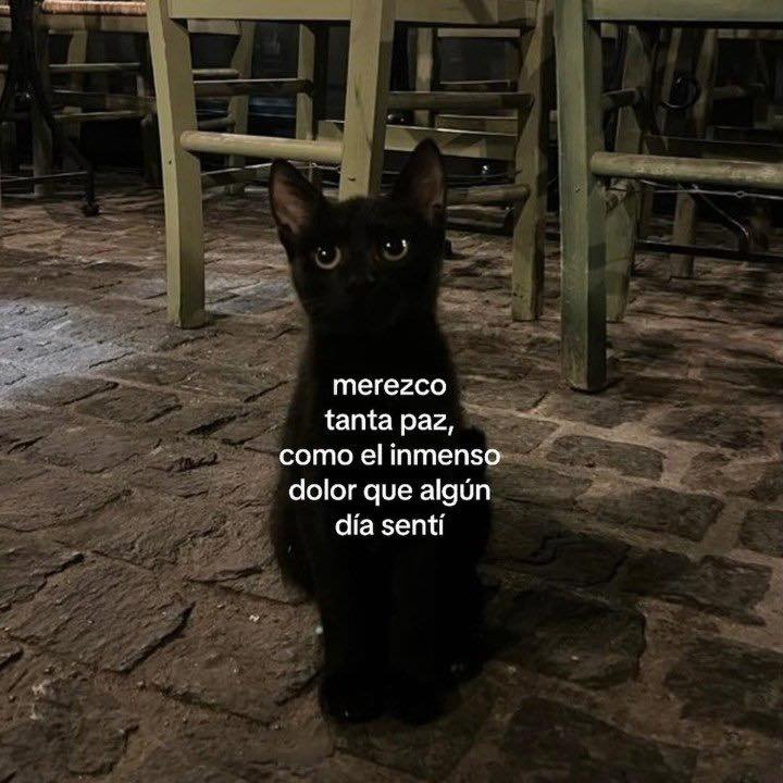 𝗧 𝗲 𝘅 𝘁 𝗼 𝘀 𝗡 𝘂 𝗯 𝗹 𝗮 𝗱 𝗼 𝘀 ☁️ (@textosnublados) on Twitter photo 