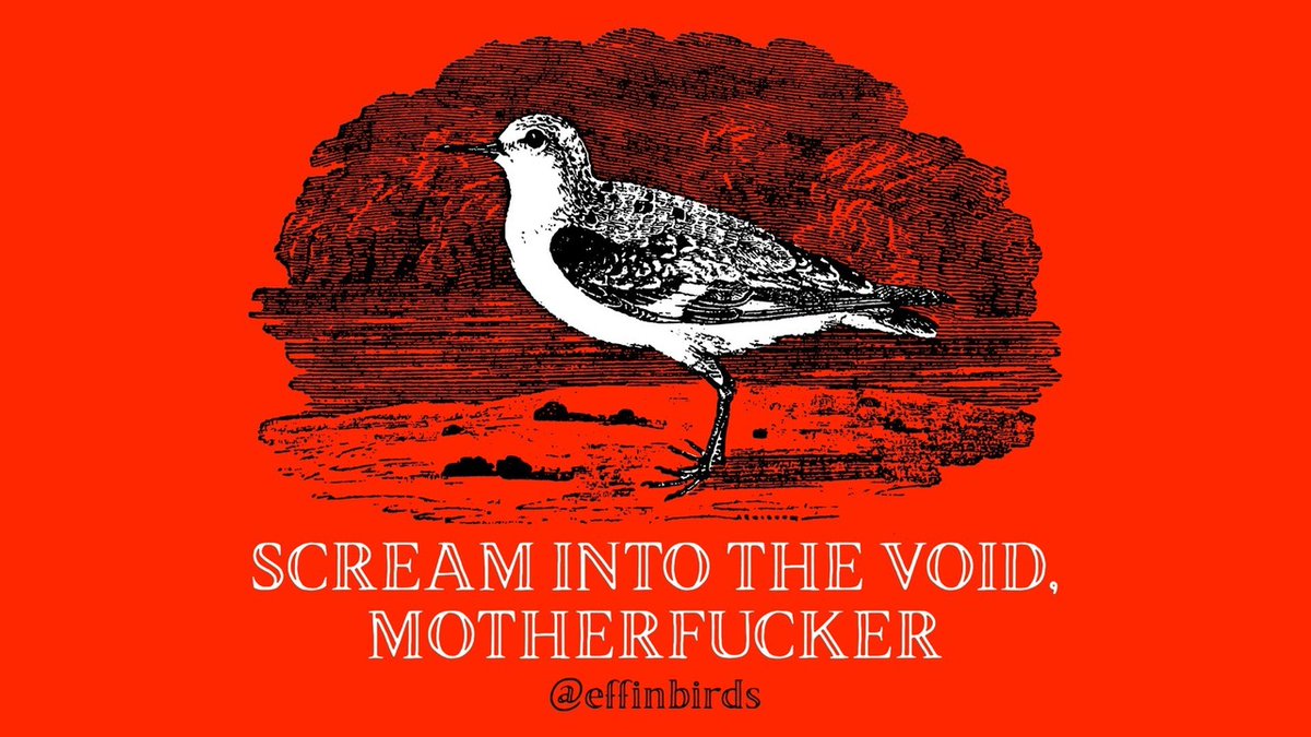 EffinBirds's tweet photo. https://t.co/JJTKokTtnR