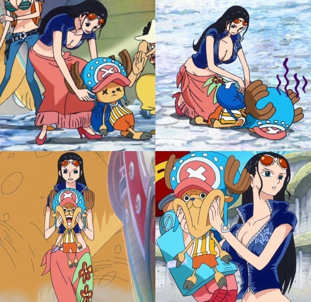 strawhats's tweet image. Robin and Chopper